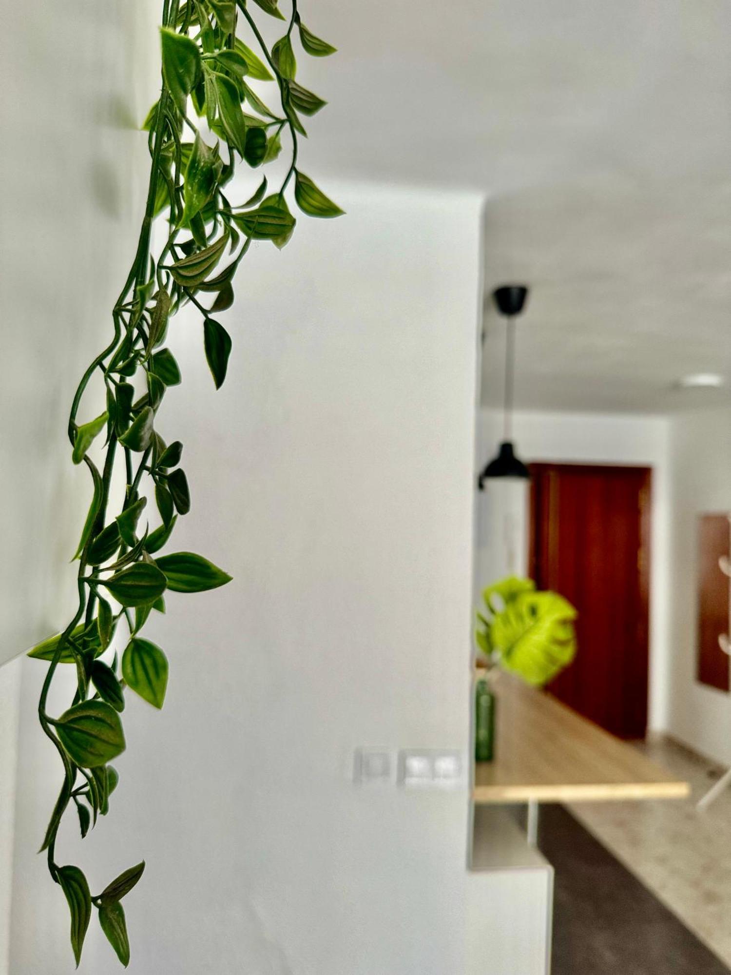Acogedor Apartamento En 말라가 외부 사진